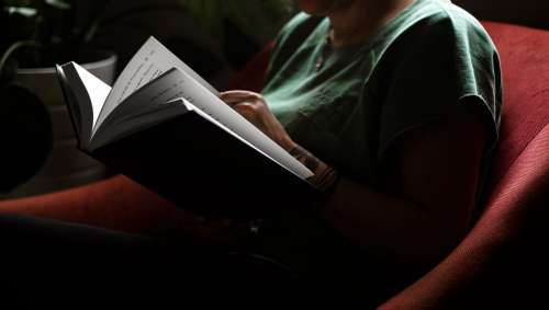 Persons Torso In A Green Shirt Reads A Hardcover Novel Photo