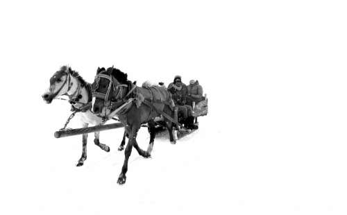 People On A Horse Pulled Carriage In The Snow Photo