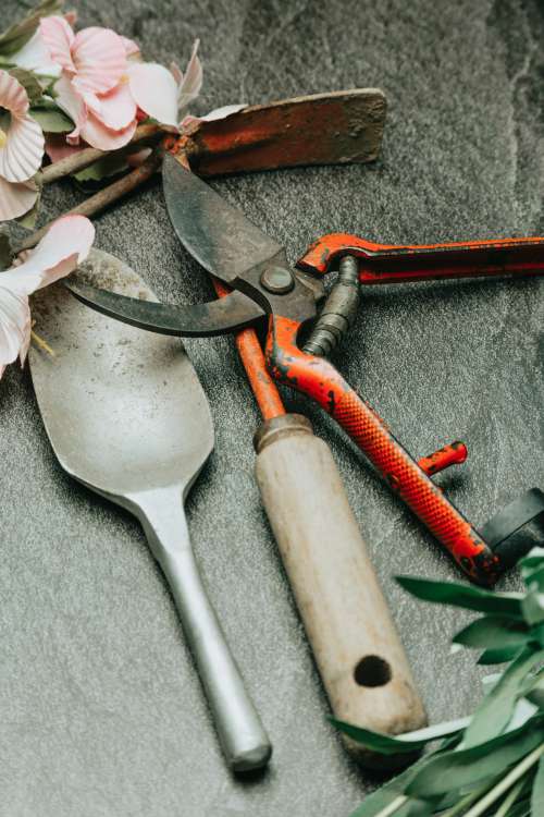 Gardening Tools Lay On A Grey Surface With Pink Flowers Photo