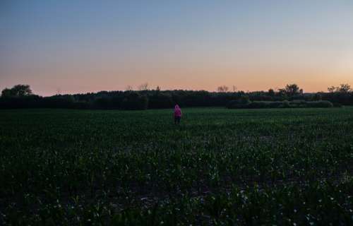 Person In A Pink Hoodie Walks A Farmers Field At Sunset Photo