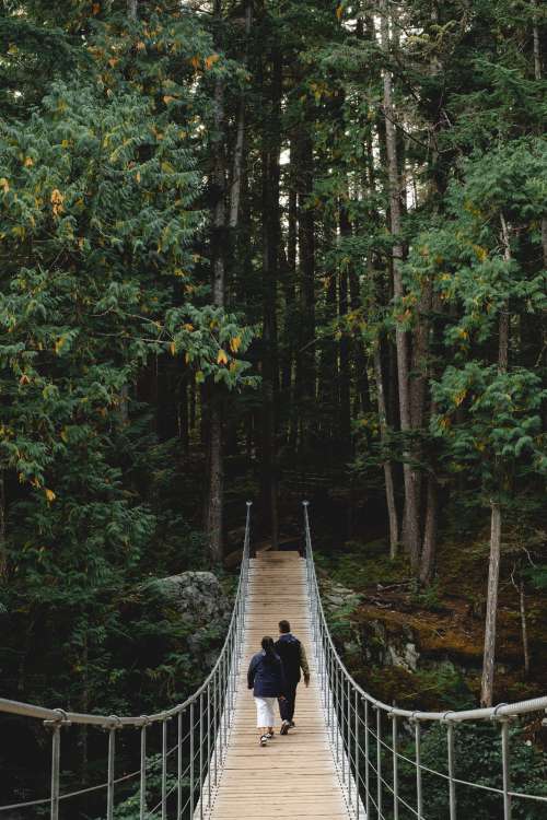 Two People Hike Towards A Forest On A Suspension Bridge Photo