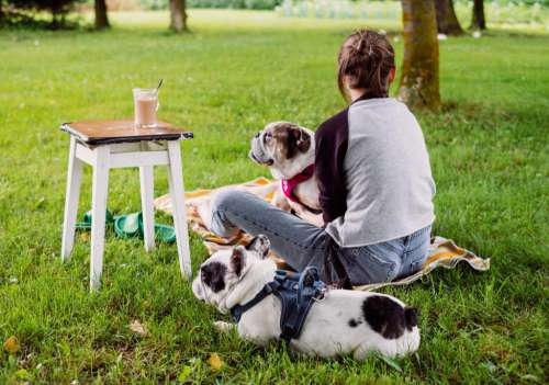 Female having a coffee outdoors with dogs 2