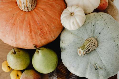 Bright autumn backgrounds - pumpkins - flowers - candle