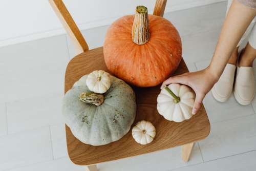 Bright autumn backgrounds - pumpkins - flowers - candle