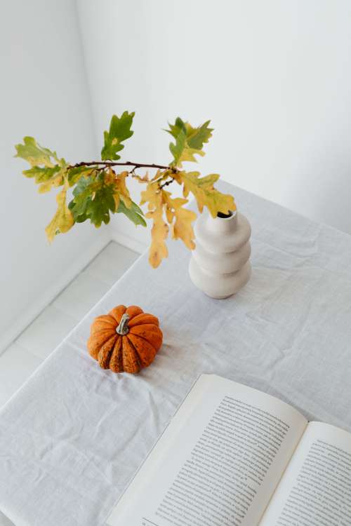 Pumpkins - autumn leaves - books