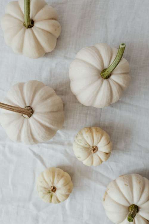 Pumpkins - autumn leaves - books