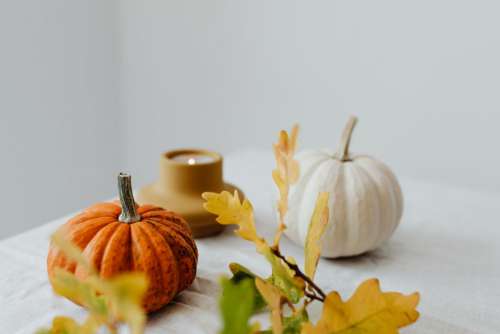 Pumpkins - autumn leaves - books