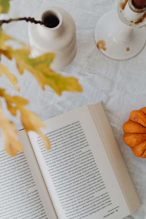 Pumpkins - autumn leaves - books