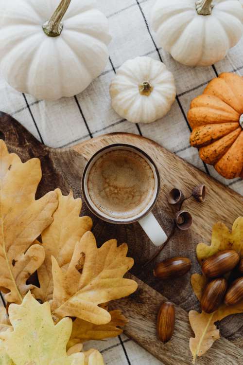 Autumn coffee - pumpkins - acorns - oak leaves