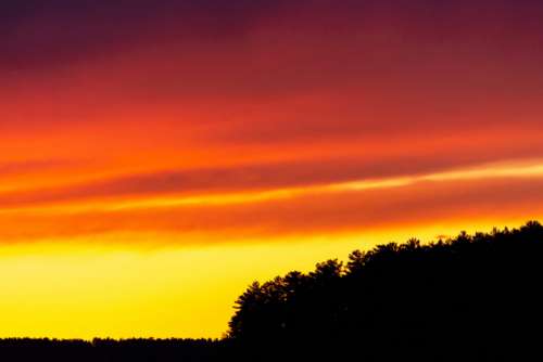 Sunset Clouds Trees No Cost Stock Image