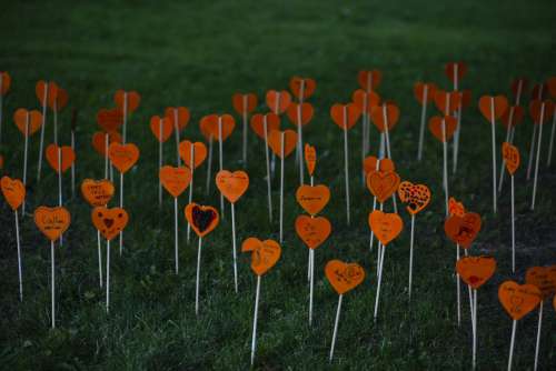 Orange Hearts Planted In Green Grass With Messages On Them Photo