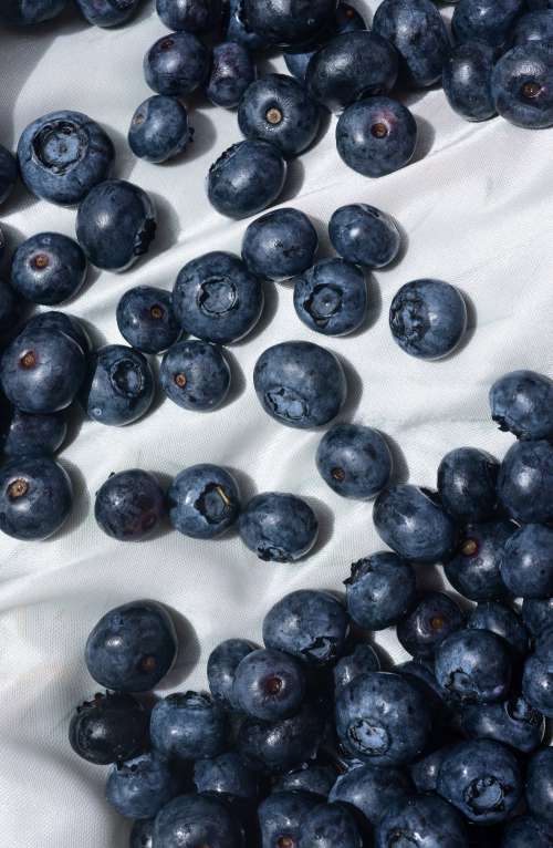 Round Ripe Blueberries On White Fabric Photo