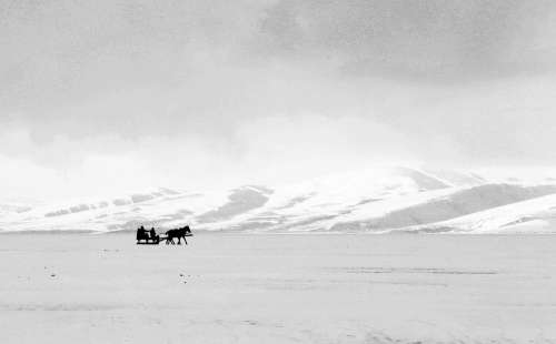 Black And White Photo Of White Hills And A Horse Drawn Sled Photo