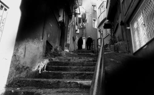 Black And White Photo Of A Worn City Staircase Photo