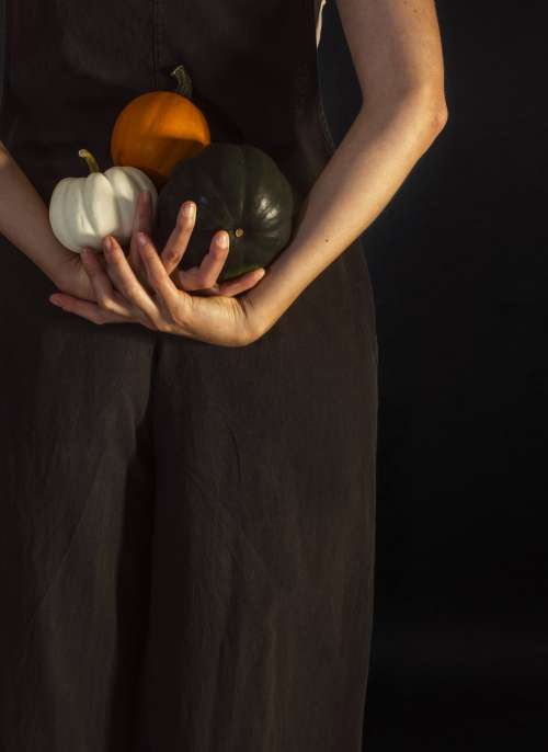 Person Holds Three Ting Pumpkins Behind Their Back Photo