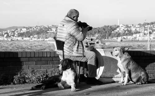 Man Sits Outdoors With Dogs Beside Him Photo