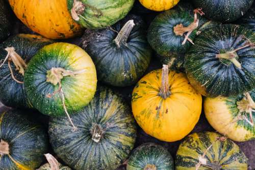A pile of green and yellow pumpkins 3