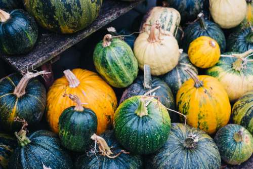 A pile of green and yellow pumpkins
