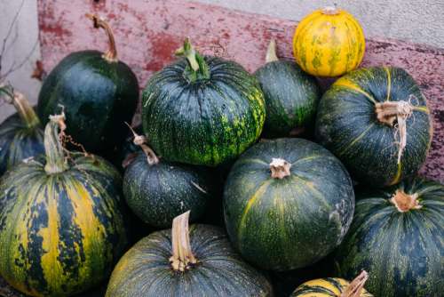 A pile of pumpkins on an old bench 5