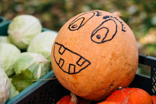 Pumpkin with a drawn face at an outdoors vegetable market 2