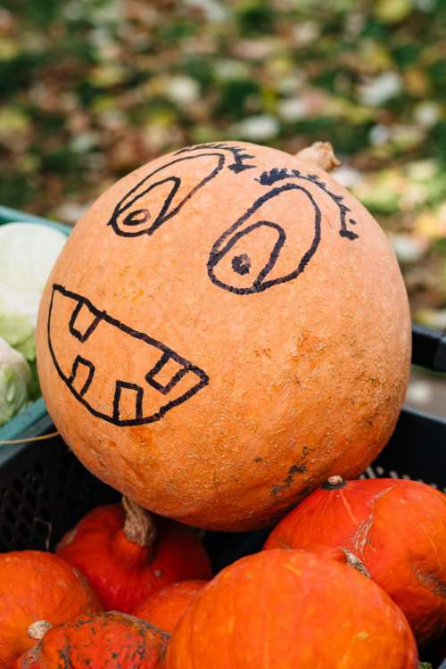 Pumpkin with a drawn face at an outdoors vegetable market 3