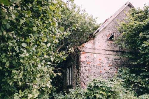 Abandoned ruined house 4