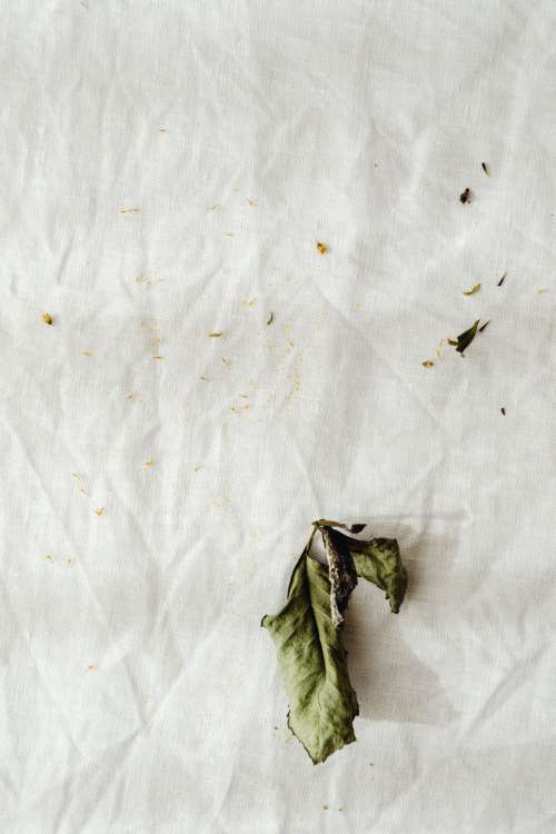 Dried flowers and small vases