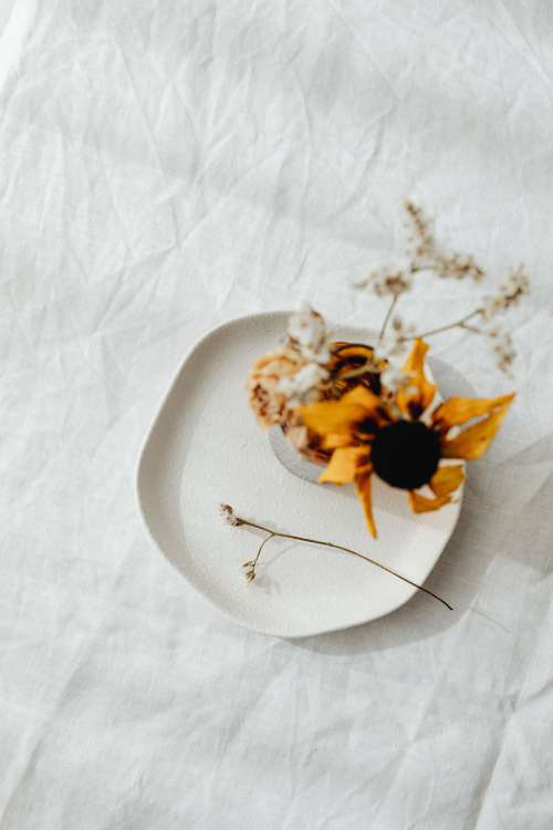 Dried flowers and small vases