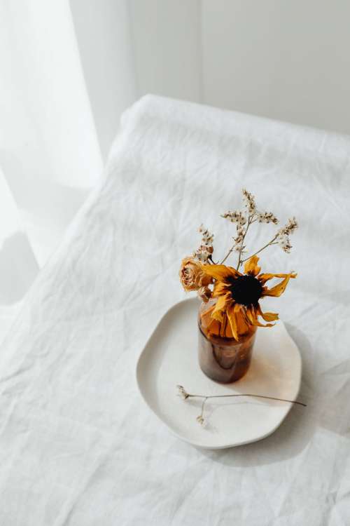 Dried flowers and small vases