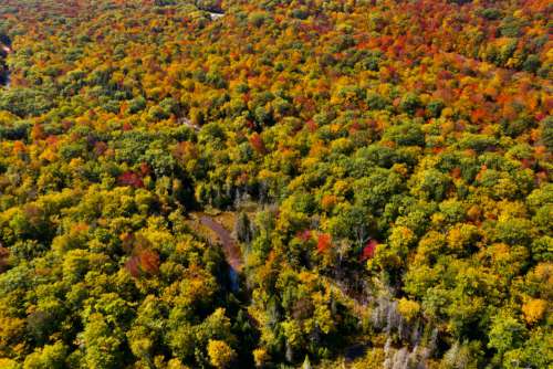 Fall Aerial Autumn No Cost Stock Image