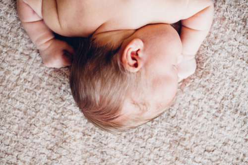 Newborn baby’s head and shoulders