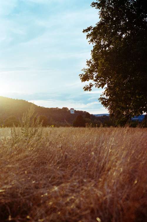 A day in the countryside