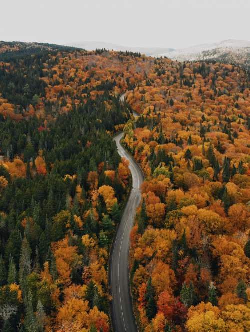 Autumn roadtrip