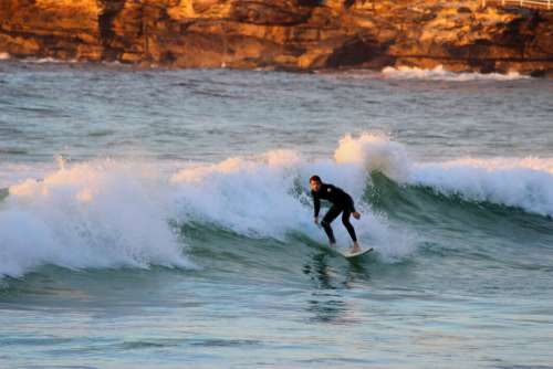 Surfer Wave Ocean No Cost Stock Image