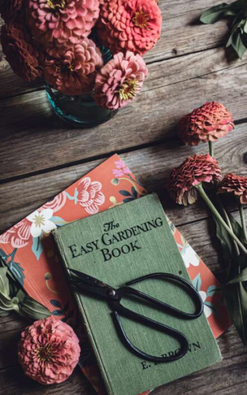 Book Table Flowers No Cost Stock Image