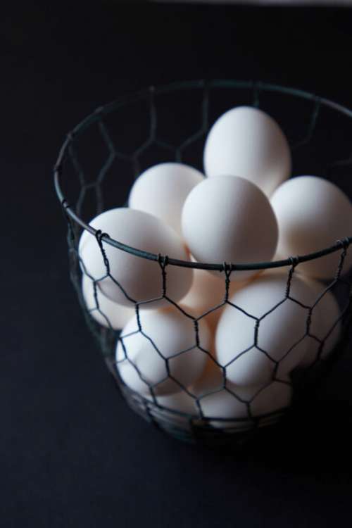 Eggs Basket White No Cost Stock Image