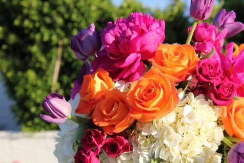 Close up Flower Bouquet No Cost Stock Image