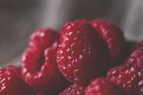 Food Raspberries Berry No Cost Stock Image