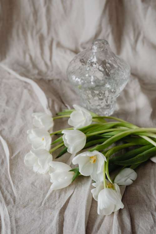 White tulips and linen fabric background