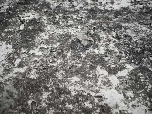 Distressed Grunge Background No Cost Stock Image