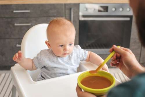 Baby Infant Eating No Cost Stock Image