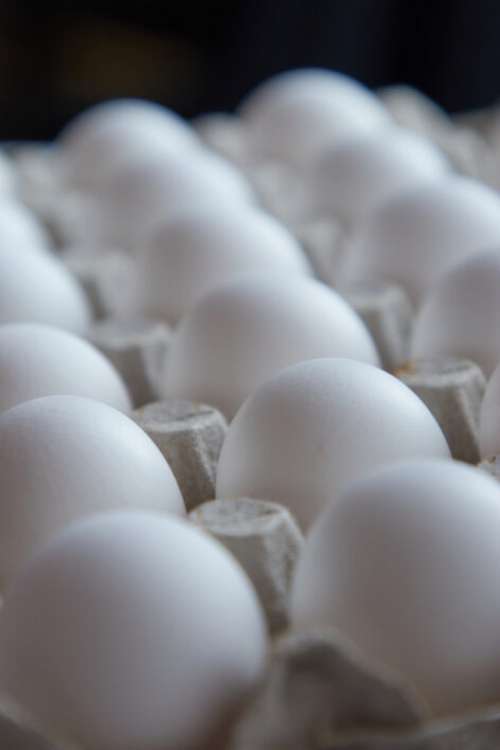 Eggs Carton Food No Cost Stock Image