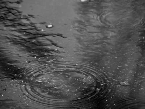 Puddle Water Rain No Cost Stock Image