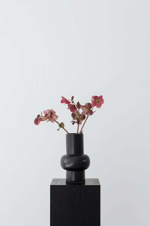 Concept photos - flowers - vase - minimalist interior