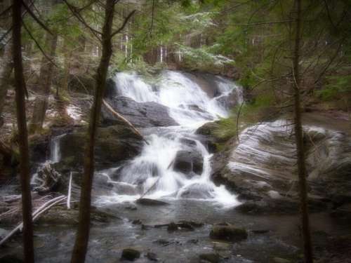 Waterfall Forest Stream No Cost Stock Image