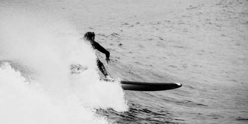 Ocean Surfer Wave No Cost Stock Image