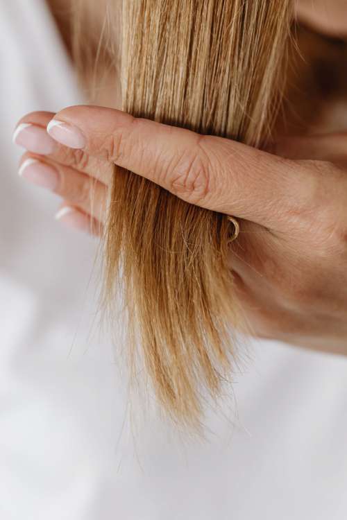 Brushing hair and making hairstyles - hair care