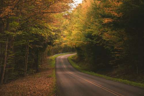 Fall road