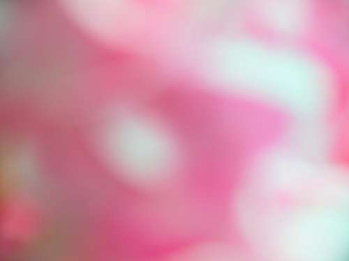 Bokeh Abstract Background No Cost Stock Image