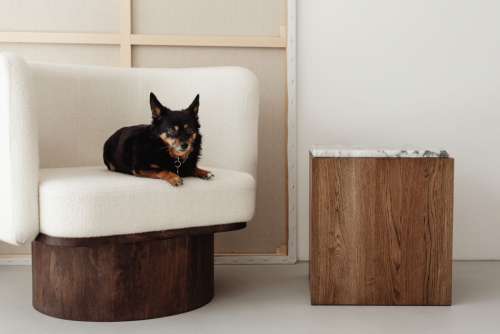 Minimalist interior - contemporary wooden and upholstered furniture